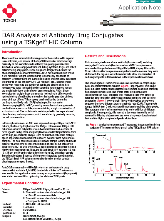 DAR Analysis of Antibody Drug Conjugates using a Tosoh TSKgel® HIC Column