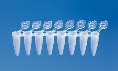 Brand: PCR Products: Tube, PCR 0.1ml, strip of 8, attached transparent cap, Standard, white