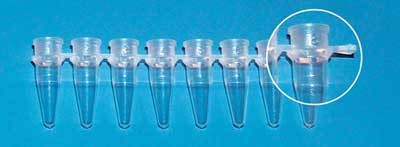 Brand: PCR Products: Tube, PCR 0.2ml 125 Strips Of 8 Tubes Green