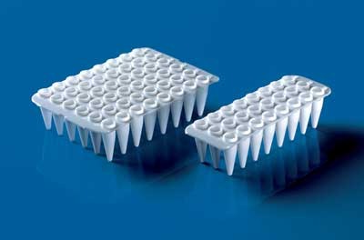 Brand: PCR Products: Plate, PCR 48 well Plate, white, for qPCR 0.2 ml, no skirt elevated wells for qPCR