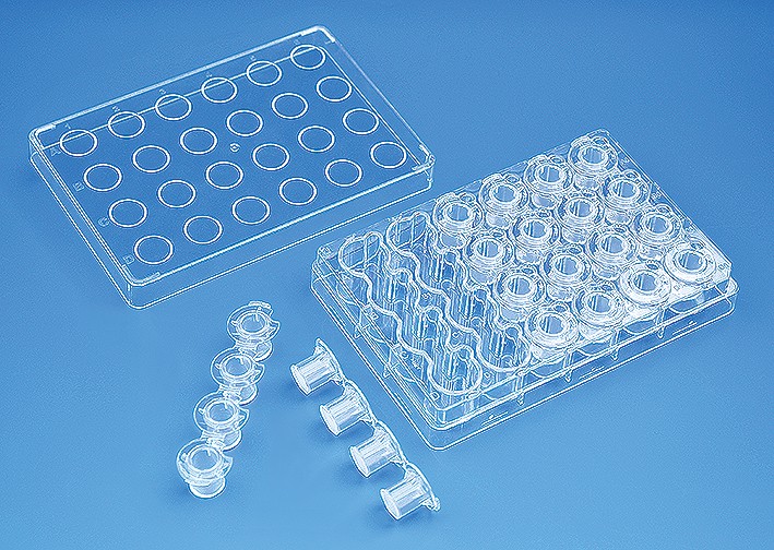 Brand: Insert System:6well incl 6 Insert