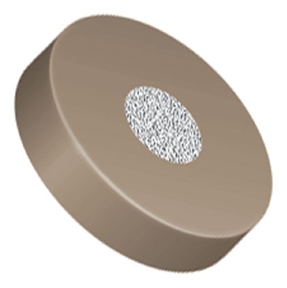 Filters & Frits: Stainless Steel Frit in PEEK Ring, Natural/Natural, 2µm, 0.094 Frit OD, 0.250 Ring OD