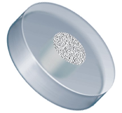 Filters & Frits: Stainless Steel Frit in PCTFE Ring, Natural, 10Âµm, 0.094â Frit OD, 0.250â Ring OD