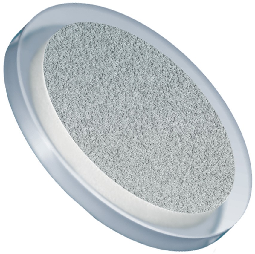 Filters & Frits: Stainless Steel Frit in PCTFE Ring, Natural, 2Âµm, 0.625â Frit OD, 0.750â Ring OD