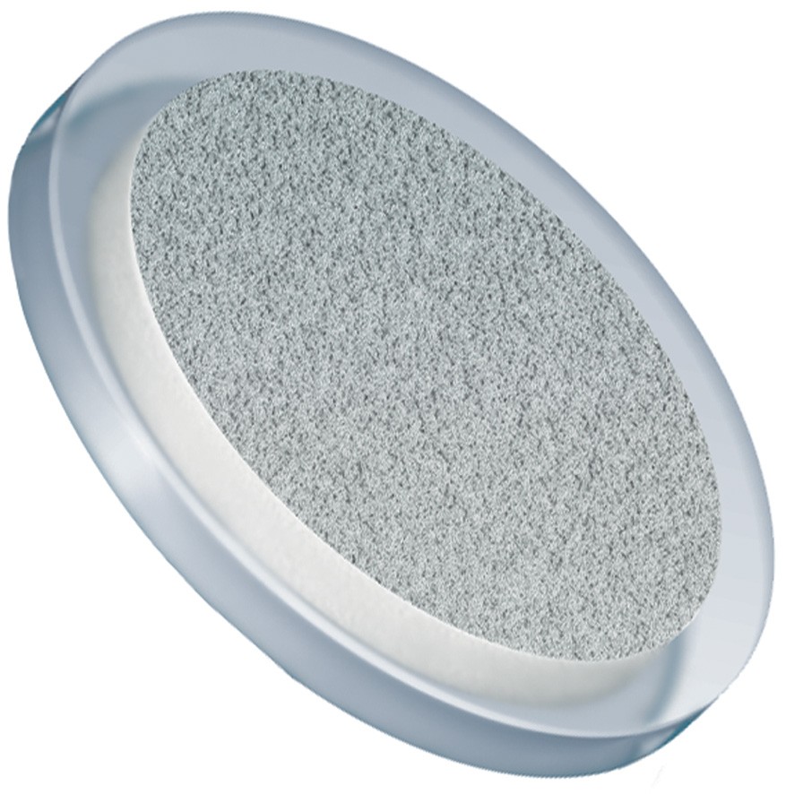 Filters & Frits: Stainless Steel Frit in PCTFE Ring, Natural, 20Âµm, 0.625â Frit OD, 0.750â Ring OD,MOQ25