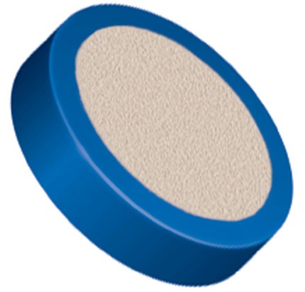 Filters & Frits: PEEKâ¢ Frit in PCTFE Ring, Natural, 0.5Âµm, 0.195â Frit OD / 0.250â Ring OD