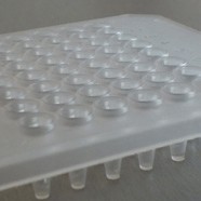 PCRmax ECO 48 Real-Time qPCR Plates; 50/pk