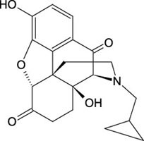 Cerilliant: 10-Ketonaltrexone, 100 Âµg/mL