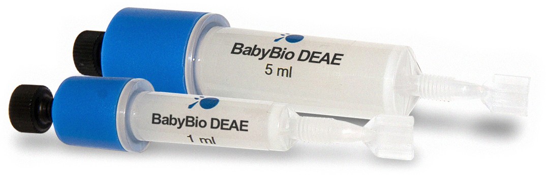 Bio-Works: Pre-packed column BabyBio DEAE 5ml