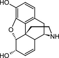 Cerilliant: Normorphine, 1.0 mg/mL