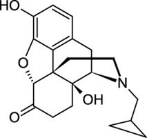 Cerilliant: Naltrexone, 1.0 mg/mL