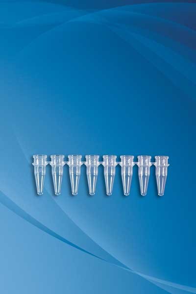 Corning Axygen: PCR Products: Tube, PCR 0.2ml  8-Strip Green