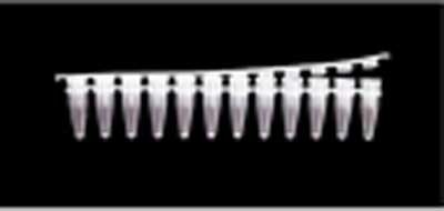Corning Axygen: PCR Products: Thin Wall Strip Tubes 0.2ml and Flat Caps , 12 tubes/caps per strip
