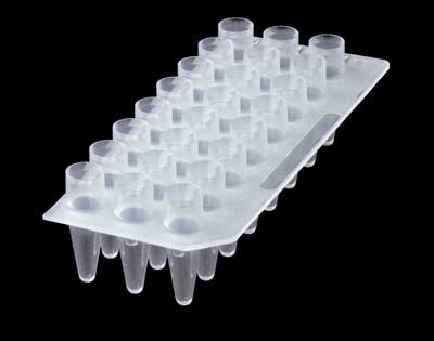 Corning Axygen: PCR Products: Plate, PCR 24 Well Assorted 