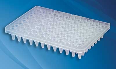 Corning Axygen: PCR Products: Plate, PCR 280ul w/v 96 well Segmented Clear