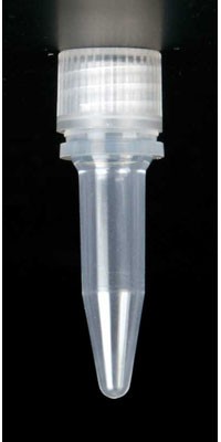 Corning Axygen 0.5ml Clear Screw Cap Tube