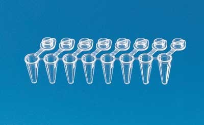 Brand: PCR Products: Tube, PCR Strip Of 8 PP Att. Single Cap Low Profile