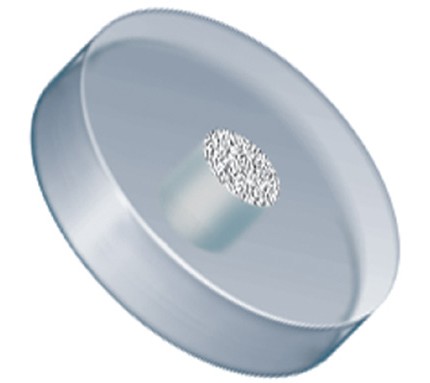 Filters & Frits: Stainless Steel Frit in PCTFE Ring, Natural, 10Âµm, 0.062â Frit OD, 0.250â Ring OD