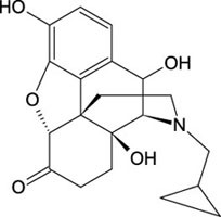 Cerilliant: 10-Hydroxynaltrexone, 100 Âµg/mL