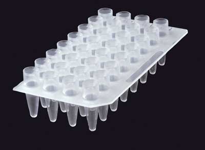 Corning Axygen: PCR Products: Plate, PCR 32 well Clear