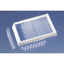 Brand: Microplates: Strip of microplate 96-well (12 str.xF8) PS, transparent  360 µl ImmuonGrade HB