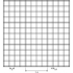 Brand: General Consumables: Counting  chamber BLAUBRAND Buerker IVD without spring clips, double ruling