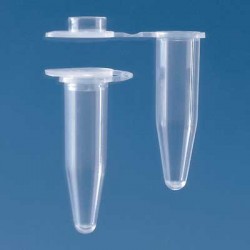 Brand: PCR Products: Tube, PCR. PP, 0.5ml Flat Cap Single Clear