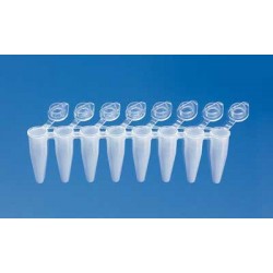 Brand: PCR Products: Tube, PCR 0.2ml, strip of 8, attached transparent cap, Standard, white