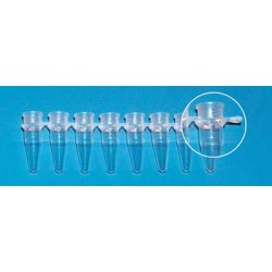 Brand: PCR Products: Tube, PCR 0.2ml 125 Strips Of 8 Tubes Yellow