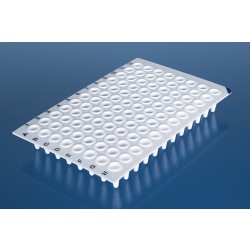 Brand: PCR plate, 96-well, non-skirted