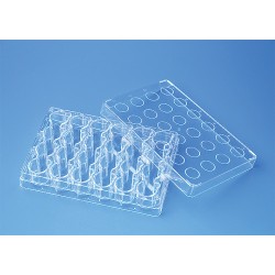 Brand: BRANDplates for Inserts 6-well