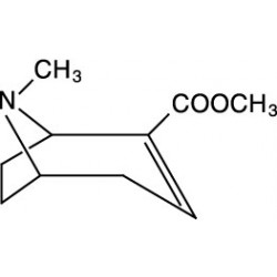 Cerilliant: Anhydroecgonine Methyl Ester, 1.0