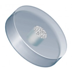 Filters & Frits: Stainless Steel Frit in PCTFE Ring, Natural, 10Âµm, 0.062â Frit OD, 0.250â Ring OD