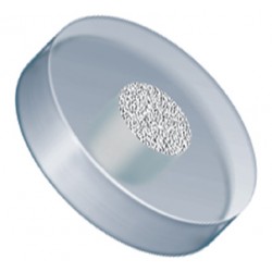 Filters & Frits: Stainless Steel Frit in PCTFE Ring, Natural, 10Âµm, 0.094â Frit OD, 0.250â Ring OD