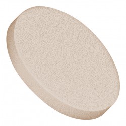 Filters & Frits: PEEK Frit, Natural, 10µm, 0.740 Frit OD