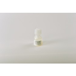 Bio-Works: Affinity Media WorkBeads 40 Protein A Bulk media 5ml