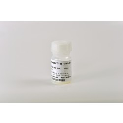 Bio-Works: Affinity Media WorkBeads 40 Protein A Bulk media 10ml