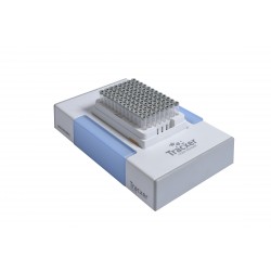 Micronics: Tracxer code reader RS210 for whole