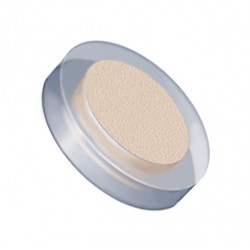 Obsolete: DISCONTINUED