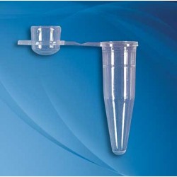 Corning Axygen: PCR Products: Tube, PCR 0.2ml Dome-Cap Clear