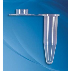 Corning Axygen: PCR Products: Tube, PCR 0.5ml Flat-Cap Blue